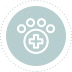 Veterinärmedizin